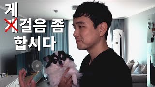 어깨빵 없는 나라에 살고 싶어요 아파요