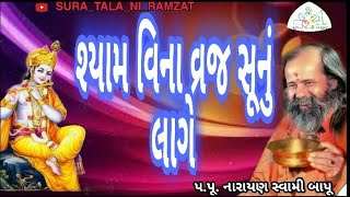 Syam Vina Vraj Sunu Lage || શ્યામ વિના વ્રજ સુનુ લાગે..Narayan swami ||Gujarati bhajan