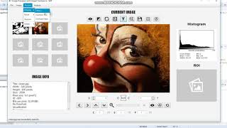 Java Image Processor with ImageJ Framework testing