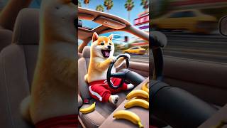 Baby Shiba's wild revenge ride 🚗 #ai #cute #dog #funnyvideo