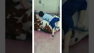 A CUTE EMOTIONAL KID WITH HIS  COW || #shorts