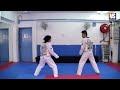 【taekwondo】combo kicks turning kicks single kicks additional