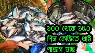 ২০২৫ সালে পাঙ্গাস মাছের সেরা চাষ পদ্ধতি | পাংগাস মাছ চাষ || Pangash Mach Cas