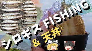 【シロギス釣り】キスを釣って天丼を作ってみた！魚影が少なかったらチョイ投げでここを攻めよう！