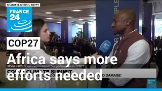 COP27: Africa says more efforts needed to fight climate change • FRANCE 24 English