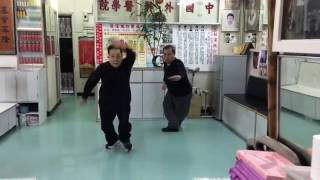 雄勝蔡李佛（漢璋連環拳）杜深師父教授黎振華師父第三段落拳法嘅精髓