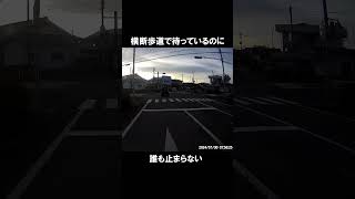 横断歩道で待っているのに誰も止まらない #Shorts