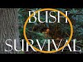 Camping Inside a Rhododendron Bush | BUSHCRAFT STEAM ROOM