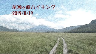 尾瀬ヶ原ハイキング　2019年8月19日