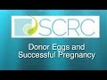 Donor Eggs and Successful Pregnancy