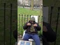 uncle omar speakers corner zombaly calif in day corner