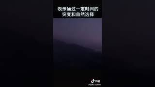 先有雞還是先有蛋？