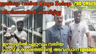 Life First Time😍😍😍ഇന്ത്യയിൽ ഏറ്റവും വലിയ പ്രാവിന്റെ കൂട്ടിൽ ||Our Dream Factory ||