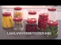 lakeland fermentation jars