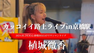 2024/12/12 “植城微香”2024.01.24(水)ワンマンライブ開催決定！【カッコイイ路上ライブin京橋駅】※詳しくは概要欄をご覧下さい！#うえきそよか #弾き語り #大阪 #京橋