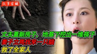 丈夫蓋新房子，地基下挖出一堆筷子，妻子立馬找來一只貓，救了全家人 | 民間故事 | 故事當舖