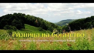 Ризница од богатства (планината Кожуф)