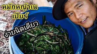 หญ้าเนเปียร์หมักง่ายนิดเดียว | ฟาร์มในไร่ FTJ Family