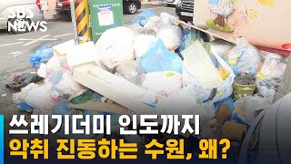 생활 · 음식물쓰레기 뒤엉켜 악취 진동…수원서 왜? / SBS