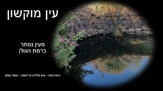 עין מוקשון - מעיין נסתר ברמת הגולן, מים עמוקים וצלולים כל השנה וגישה יחסית נוחה קרוב מאוד לעין מוקש