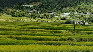 Someshwar Valley Live