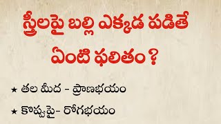 స్త్రీలపై బల్లి ఎక్కడ పడితే ఏంటి ఫలితం?.|Latest Talapatra sutralu| jeevitha Satyalu| real life facts