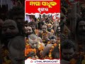 ନାଗା ସାଧୁଙ୍କ ଶୃଙ୍ଗାର