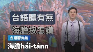 【台語聽有無】海洋動物名台語按怎講｜台語新聞 #鏡新聞