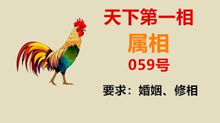 059：强弱分明的一个小家庭，如何确定谁更正确？理智相更接近正确，蛇就是理智型属相。请看059号教学片