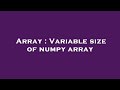 Array : Variable size of numpy array