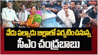 నేడు పల్నాడు జిల్లాలో పర్యటించనున్న సీఎం చంద్రబాబు | CM Chandrababu to visit Palnadu district