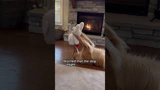 Man Gives a Heartwarming Surprise to an Infertile Dog #animals #shorts