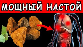 НАСТОЙ ЧАГИ ТВОРИТ с ОРГАНИЗМОМ ТАКОЕ ... 👍 Березовый гриб - как приготовить НАСТОЙ из ЧАГИ