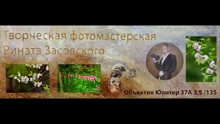 Цветы объектив 37A 3,5   135