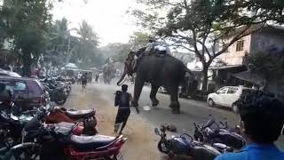 Elephant attack VK Kadavu Nercha