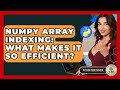 NumPy Array Indexing: What Makes It So Efficient? - Python Code School