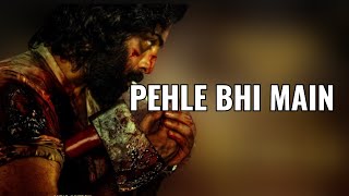 Pehle Bhi Main (LYRICS) |Vishal Mishra | ANIMAL Movie Songs | Ranbir,Rashmika,Anil,Bobby |Sandeep R