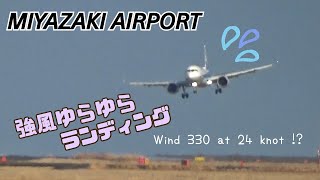 【宮崎空港】春一番!? 強風揉まれる離着陸シーン Miyazaki Airport RWY27 Takeoff \u0026 Landing (2022/02/15)