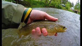 PA Fly Fishing Spring Creek