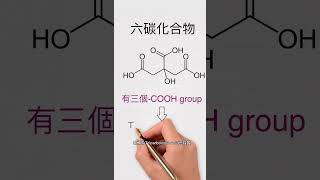 TCA cycle=Krebs cycle=Citric acid cycle｜一個Cycle三個名 #呼吸作用 #respiration #biology #科普