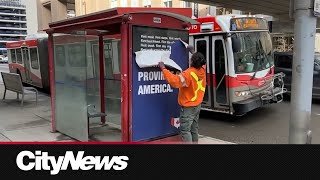 'Premier Trump' sign on Calgary bus shelter taken down