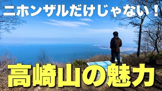 【大分登山】マジでわかっちゃいました。高崎山の全て2