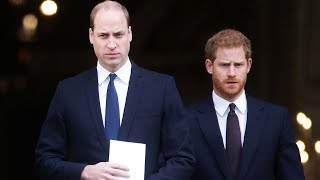 Prince Harry Claims Prince William Physically Attacked Him