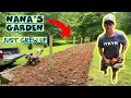 AMAZING!! Yard Transformation—Nana’s Garden Just Grew Up!