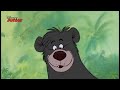 the jungle book the bare necessities song disney junior uk