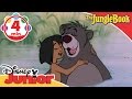 The Jungle Book | The Bare Necessities Song | Disney Junior Uk