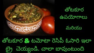 Thotakura tomato recipe | Amaranthus tomato curry | how to make healthy easy Amaranthus recipe