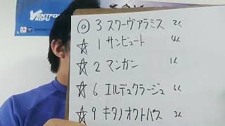 【地方競馬予想】報知オールスターカップ S3(1月3日川崎11R)予想