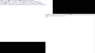 Input, Output, and Processing Part 1