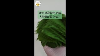 한번에 많이 사버린 깻잎 싱싱하게 오래 보관하는 방법 #shorts